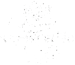 Kaminfeger Haller